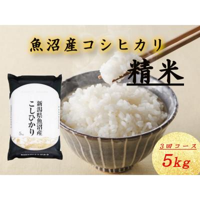 ふるさと納税 十日町市 【毎月定期便】魚沼産コシヒカリ(精米)5kg×1袋全3回