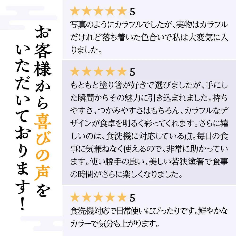 若狭塗箸　【食洗機対応】持ちやすい木彫り箸　にっぽんの伝統色５膳セット｜ 箸 はし お箸 日本製 セット 伝統工芸品 日用品 食洗器 木彫り 木 木材 若狭塗 天然 おしゃれ カラフル 新年 新しいお