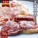 【ふるさと納税】天草大王 ハーフセット 750g ミックス(もも、むね、ささみ) 鶏肉 とりもも とりむね 胸肉 ささみ 国産 九州産 熊本県産 天草 地鶏 BBQ 冷凍 送料無料