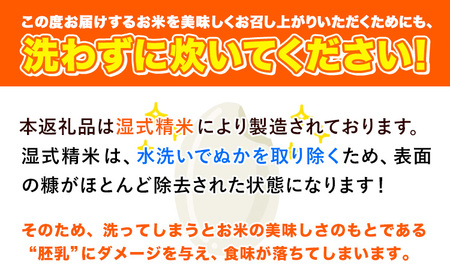 【令和7年産】米 ひのひかり 無洗米 10kg 2kg×5袋 くまモン袋入り 株式会社 九州食糧《30日以内に発送予定(土日祝除く)》熊本県 御船町 精米 こめ コメ 小分け 便利 くまモン 熊本県産