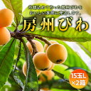 【ふるさと納税】【2025年度先行予約】房州びわ L15玉×2箱 ／ ビワ 枇杷 中玉 産地直送 千葉県 特産 F22X-139