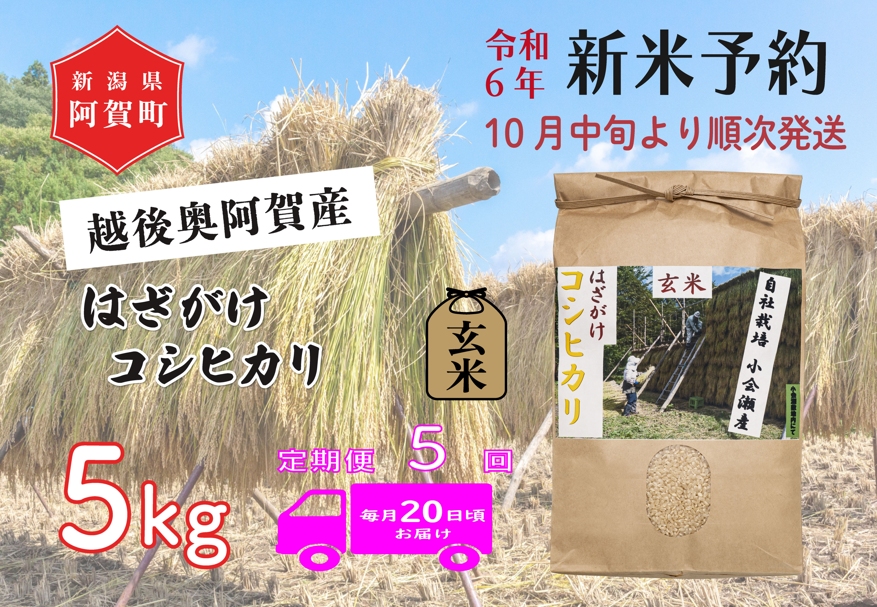 
《令和6年産米》【定期便】5回　越後奥阿賀産はざがけ（天日干し）コシヒカリ　玄米5kg（1袋）
