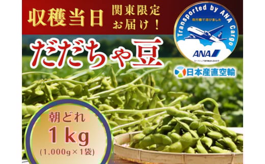 【令和7年産先行予約】朝採れだだちゃ豆 1kg (1kg×1袋) 【8月中旬お届け】 「産直空輸」で限界鮮度を当日お届け！　山形県鶴岡市特産