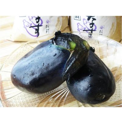 ふるさと納税 和歌山市 おおた商店の水なすぬか漬け 10個入 |  | 01