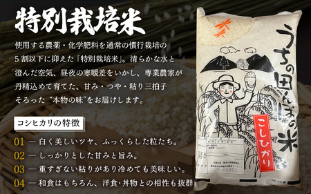 【先行予約】【令和7年産・新米】特別栽培米 こしひかり 5kg【白米】【10月中旬前後より順次発送予定】【こめ コシヒカリ 人気品種 ブランド米 5キロ 白米 精米 玄米 おにぎり うまい 福井県ブラ
