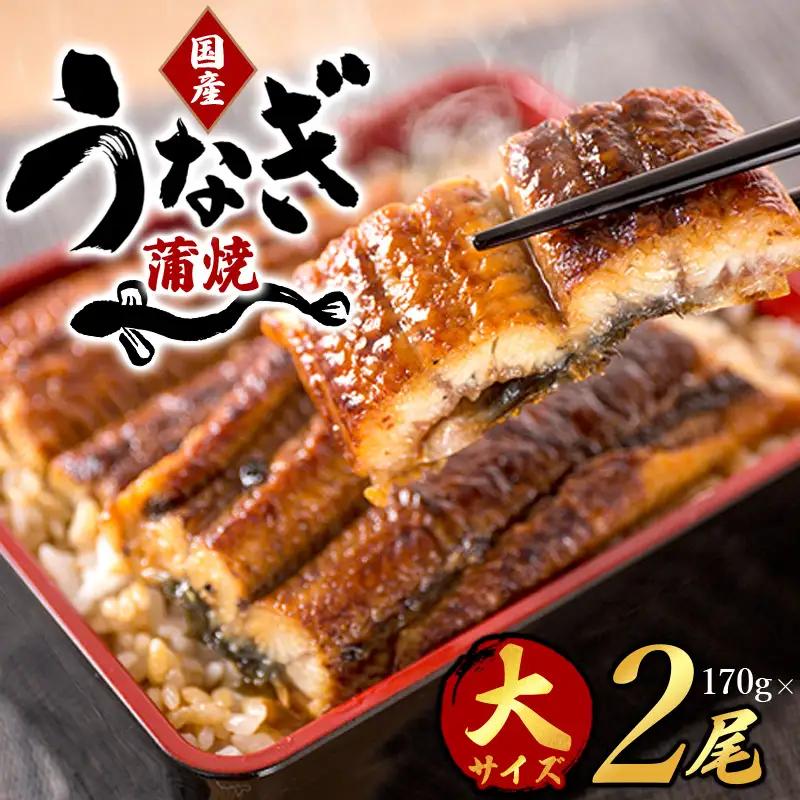 うなぎ 国産 うなぎ蒲焼き 約170g×2尾【uot302A-3】
