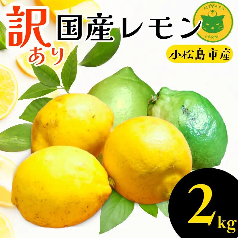 【2026年10月発送】 訳ありレモン 2kg 国産 レモン