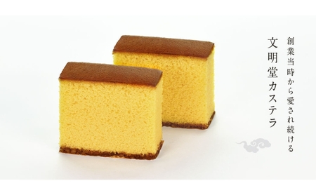 文明堂 カステラ 2本 (1本10切れ) セット 詰め合わせ カット済み 和菓子 焼菓子 焼き菓子 お菓子 菓子 おやつ デザート スイーツ 文明堂カステラ 添加物不使用 保存料不使用 ギフト 贈り物