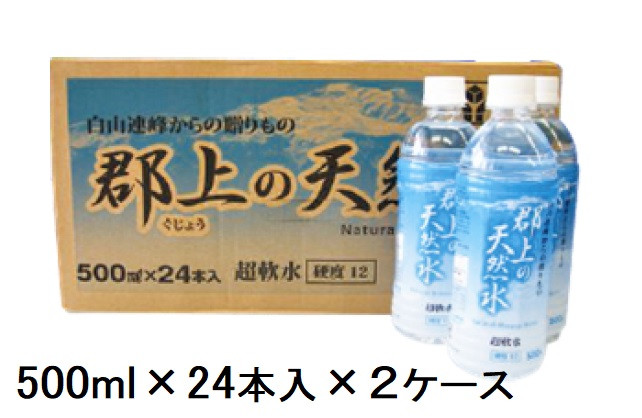 
            【C-55】清流長良川源流「郡上の天然水」500ml(24本入)2箱
          