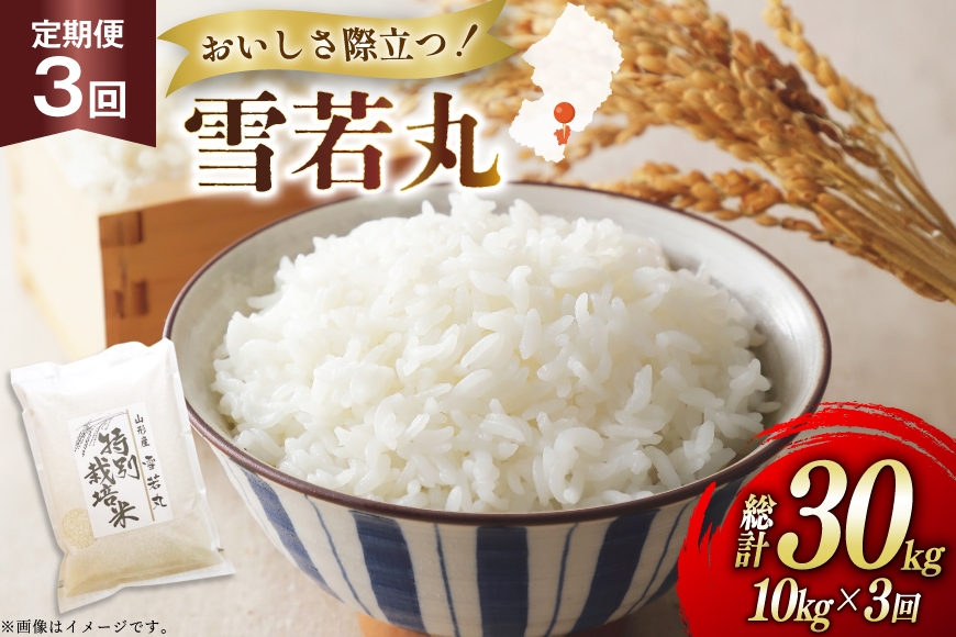 
            米 定期便 3回 令和7年 雪若丸 10kg 3回 計30kg [渡部ファーム 山形県 高畠町 tk06ays810047] お米 白米 精米 ごはん ご飯 ブランド米
          