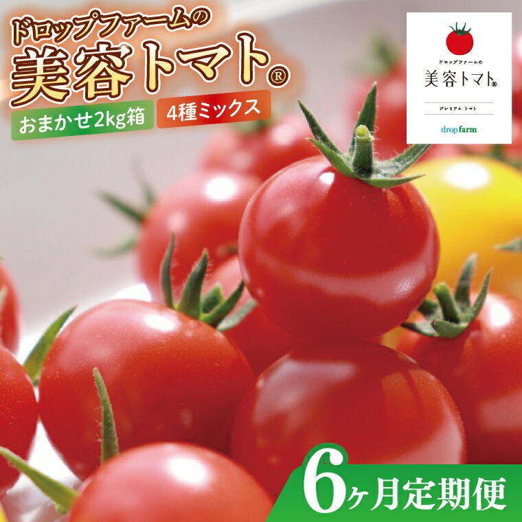 【ふるさと納税】【6ヶ月定期便】【11月より順次発送】ドロップファームの美容トマトおまかせ2kg箱(4種ミックス)【とまと フルーツトマト 野菜ソムリエ 栄養士 アイコ イエローアイコ 小鈴 フルティカ 野菜 フレッシュ 水戸市 茨城県】（CK-21）