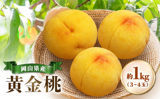 
                  ＜先行受付|8月下旬頃より順次発送＞岡山県産『黄金桃』　約1kg(3～4玉)【1726916】
                