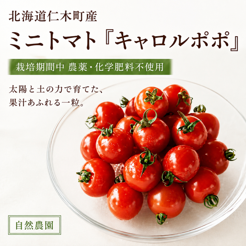 ミニトマト「キャロルポポ」1kg 栽培期間中 農薬・化学肥料