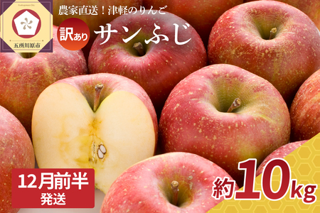 りんご 10kg 訳あり 青森 【2024年12月前半発送】 サンふじ 【先行予約 2024年 12月 発送開始】