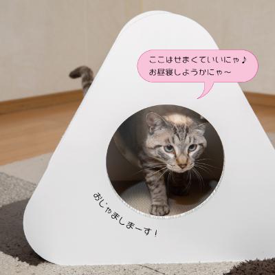 ふるさと納税 中津川市 猫のつめとぎ+House「さんかく」(ぷらすはうすさんかく)