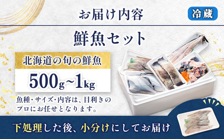 お魚の目利きのプロにお任せ!北海道産 天然鮮魚 約500g～1kg_産地直送 冷蔵 冷蔵便 刺身 セット 鮮魚セット 鮮魚ボックス 魚介類 海鮮 絶品 人気 ヒロセ 北海道 釧路町 釧路超 特産品 _