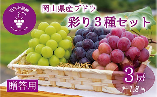 
                  岡山　花笑み農園のブドウ『彩り3種セット』贈答用　1.8kg (3房) 3M-2上【1695413】
                