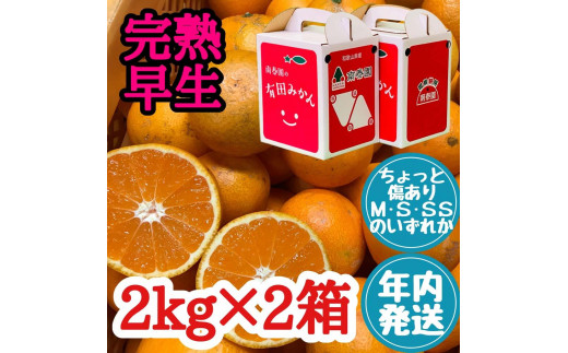 
                  年内発送 ちょっと傷あり 完熟早生 有田みかん M～SS サイズ 2kg × 2箱 手さげ箱 和歌山 南泰園 みかん
                