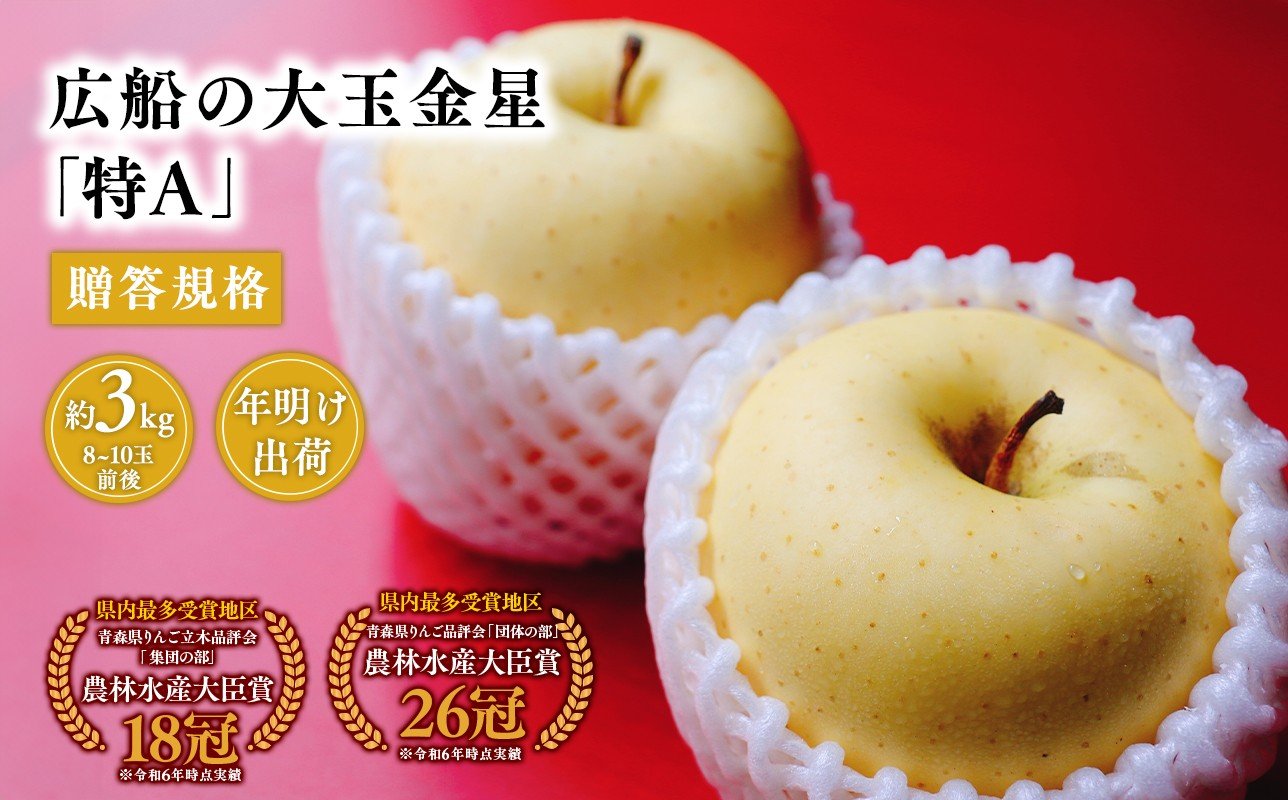
            ≪年明け発送≫青森県産 贈答規格 広船の大玉金星 約3kg「特A」【青森県 平川市 広船アップルクラブ】贈答 大玉 金星 広船 年内 青森 青森県 平川 りんご リンゴ 林檎 くだもの 果物 フルーツ 
          