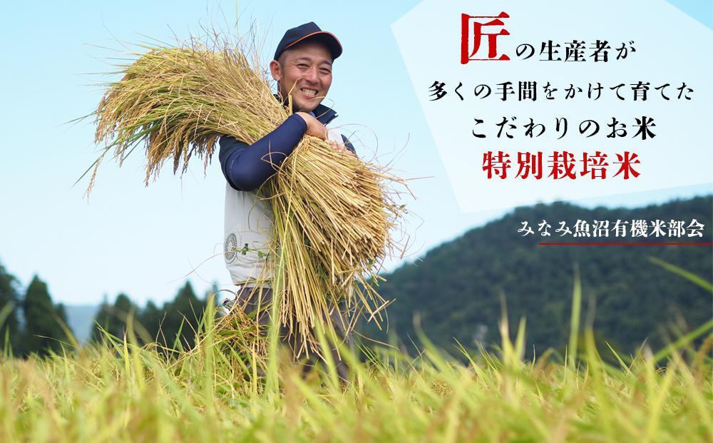 【JAみなみ魚沼定期便】特別栽培米南魚沼産こしひかり8割減（30kg×全12回）精米 農薬8割削減 有機肥料 精米HACCP認定工場 特A獲得日本一産地 高品質精米 もっちり甘い 南魚沼産コシヒカリ