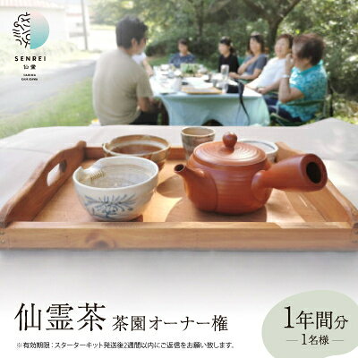 【ふるさと納税】仙霊茶 茶園オーナー権(1年間分)【1469209】