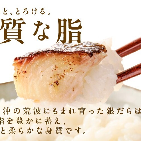 【定期便】銀鱈 西京漬け 120g×12切れ 全3回【厚切り 小分け 熟成 銀だら ぎんだら ギンダラ 海産物 魚 惣菜 西京焼き 味噌 お酒のあて 訳あり サイズ不揃い 切り落とし】 G5640_イ
