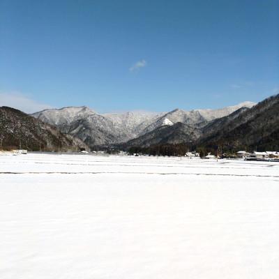 ふるさと納税 吉賀町 令和6年産　吉賀町広石産コシヒカリ　清流高津川のお米　精米10kg |  | 03