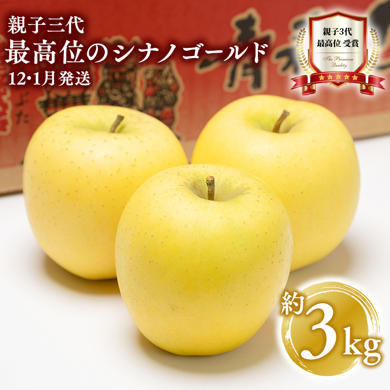 【12月・1月発送】 家庭用 親子三代最高位のシナノゴールド 約3kg【全国ふじコンテスト最高賞受賞農園・平川市広船産りんご】