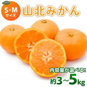 【ふるさと納税】【選べる内容量】山北みかん 秀品（S・Mサイズ）約3kg/約5kg - 果物 フルーツ 柑橘類 温州みかん ミカン 蜜柑 甘い おいしい 美味しい 山北みらい 高知県 香南市【常温】 Ryk-0035