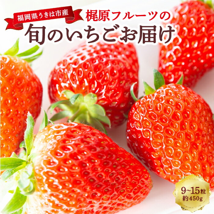 【ふるさと納税】【選べる配送月】 梶原フルーツの旬のいちごお届け 約450g (9粒から15粒) あまおう かおり野 紅ほっぺ 恋みのり 章姫 スターナイト ほしうらら はるひ すず いちご イチゴ 苺 フルーツ 果物 果実 福岡県 うきは市 送料無料 【2026年1月～3月 発送予定】