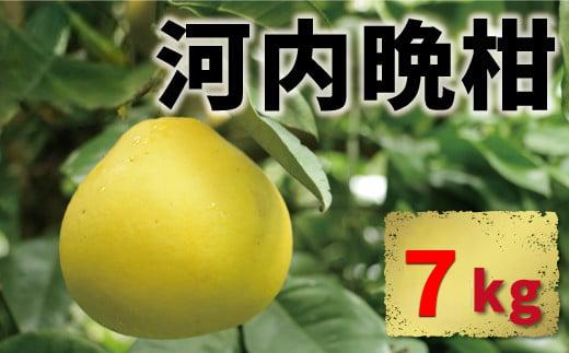 
                  河内晩柑 7kg 10000円 みかん かわちばんかん 愛南ゴールド あいなん ゴールド 美生柑 文旦 グレープフルーツ 和製 家庭用 先行 事前 予約 受付 産地直送 国産 農家直送 糖度 果樹園 期間限定 数量限定 特産品 ゼリー ジュース 人気 限定 さわやか 甘い フルーツ 果物 柑橘 蜜柑 愛南町 愛媛県
                