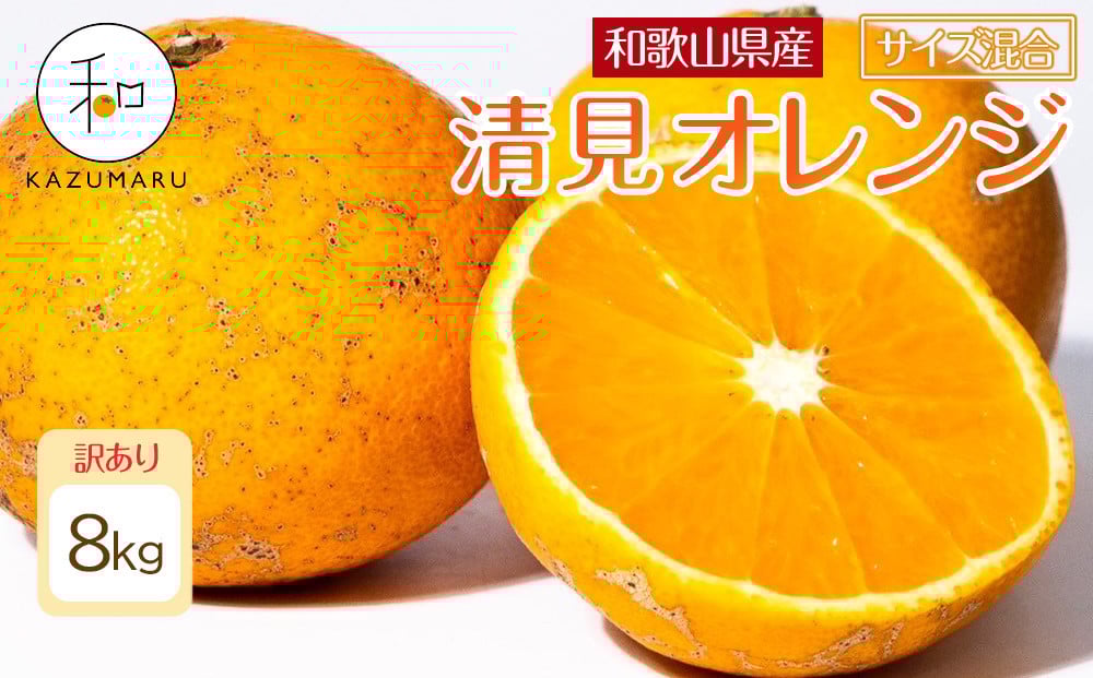 
            訳あり 森本農園の手選別 清見オレンジ 8kg 和歌山県産 サイズ混合 ［北海道・沖縄・離島配送不可］［RN25］［2026年2月上旬から5月中旬頃順次発送予定］
          