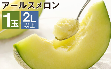 【2026年7月下旬より発送】アールスメロン 1玉  2L以上 メロン フルーツ 果物 くだもの 【メロンドーム】