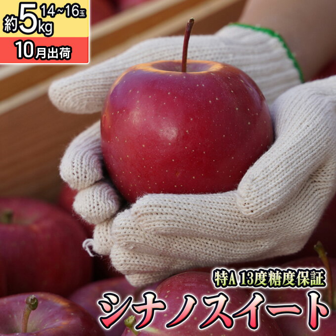 【ふるさと納税】10月 特Aシナノスイート約5kg（12～16個）13度糖度保証【青森りんご・ゆうきアップル・10月】 果物類 フルーツ 果物 ジューシー 　お届け：2025年10月20日～2025年11月20日