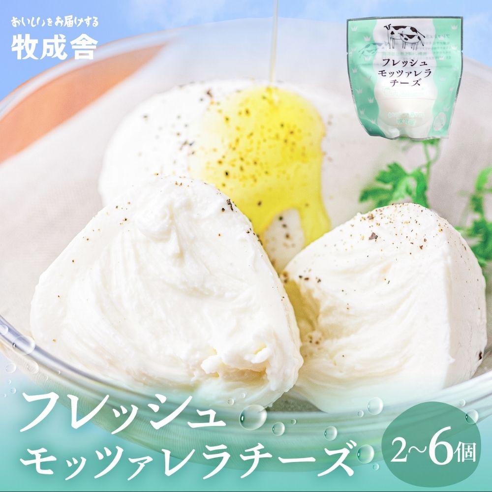 牧成舎 牛乳屋がていねいに作ったフレッシュモッツァレラチーズ 3個