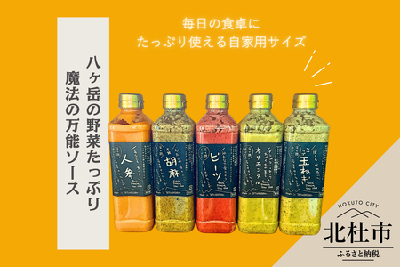 フェリチタ ラージセレクション（5本）　ドレッシング 調味料 詰め合わせ セット ラージサイズ 540ml×5本 人参 胡麻 ビーツ オリエンタル 玉ねぎ サラダ 温野菜 蒸し料理 肉料理 たれ 食べ比べ 手づくり 八ヶ岳 栽培期間中農薬不使用 化学調味料不使用 保存料不使用 着色料不使用 