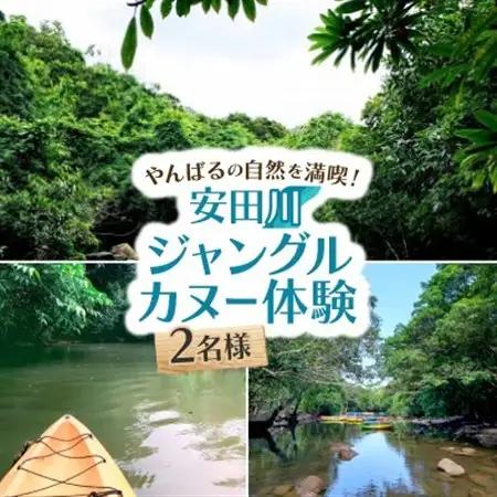 安田川ジャングルカヌー体験 2名様【1606644】