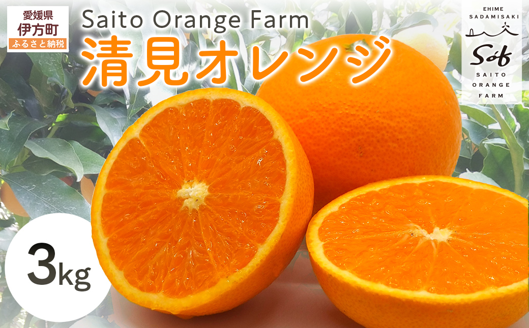 【先行予約】Saito Orange Farmの清見オレンジ3kg（2027年3月中旬頃より順次発送予定） IKTAQ006