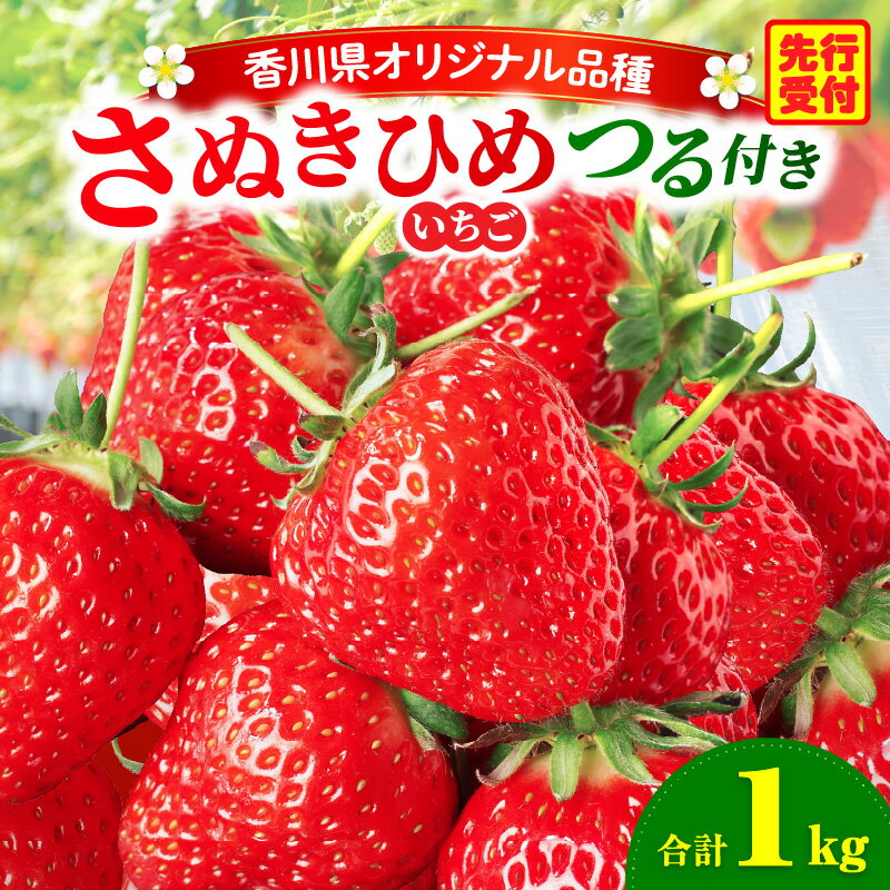 【ふるさと納税】三木町地域いちご部会『さぬきひめ』 つる付き 1kg 果物 フルーツ 苺 デザート 食後のデザート イチゴ 旬 おすすめ グルメ 季節 ギフト 果肉 おすそ分け アレンジ 生鮮食品 いちごジャム 旬の果物 贈答 贈り物 果実 青果物 パック 国産 冷蔵 香川県 三木町