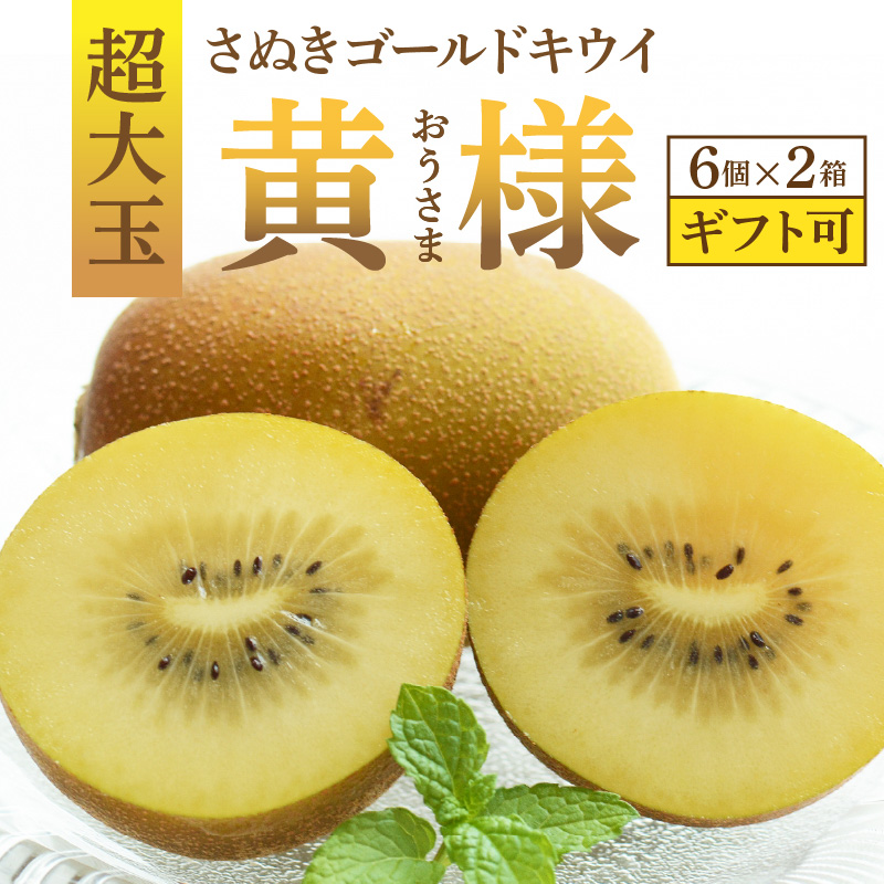 M72-0011_【締め切り間近: 11月5日まで】【配送不可地域：北海道・沖縄県・離島】【ふるさと納税】さぬきゴールドキウイ「黄様」超大玉６個入り×２箱【ギフト可】  秋 旬