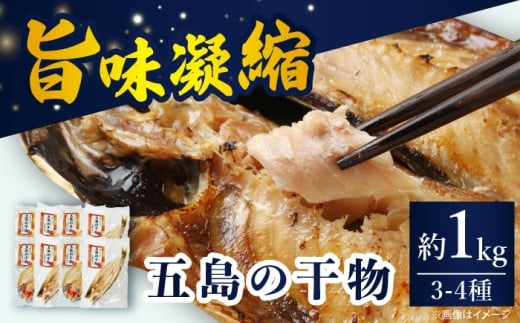 【五島列島の海の幸をお届け】干物セット 約1kg 3～4種【有福水産】 [RBV002]