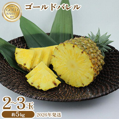 【ふるさと納税】東村産 ゴールドバレルパイン2（2～3玉・約5kg）【2026年発送】 ゴールドバレル パインアップル パイナップル パイン 国産パイン 国産 生産量日本一 ゴールドバレルパイン 甘い おいしい 希少 バレル 人気 ジューシー 南国 トロピカル 予約 先行予約 沖縄