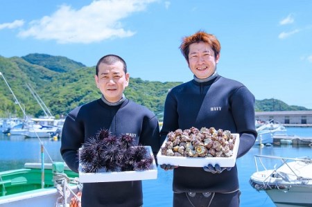 (10028)さざえうに サザエウニ さざえうにの瓶詰め 瓶詰め 栄螺 雲丹 5本セット 25g 刺身 味付 長門市