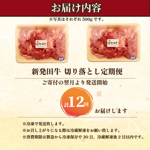 【12回定期便 】 牛肉 切り落とし 新発田牛 計3kg 切り落とし enomoto025