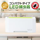 【ふるさと納税】 luics C LED・専用交換シート12枚入(蛍光) 2セット付 粘着シート 交換用 捕虫器 虫対策 防虫 楽天 寄付 返礼品 お歳暮 ギフト プレゼント お祝い 贈り物 ふるさと納税 滋賀県 東近江 近江 F-F02 株式会社SHIMADA