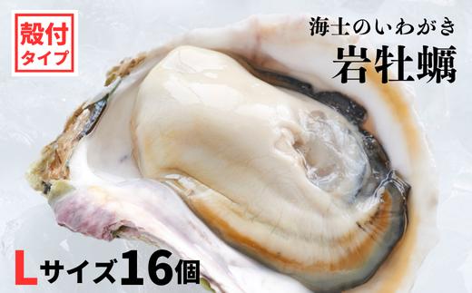 
【いわがき殻付き Lサイズ 16個】岩牡蠣 生食可 冷凍 牡蛎 牡蠣 かき カキ 岩牡蠣 いわがき 冷凍 父の日 母の日 バーベキュー ギフト
