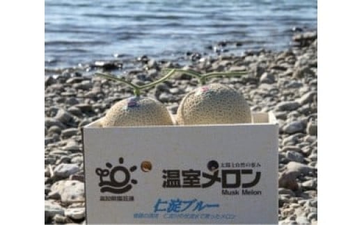 
            メロン 温室メロン 2玉   果物 くだもの めろん フルーツ デザート ギフト 贈答 プレゼント 仁淀ブルー 高知 土佐
          