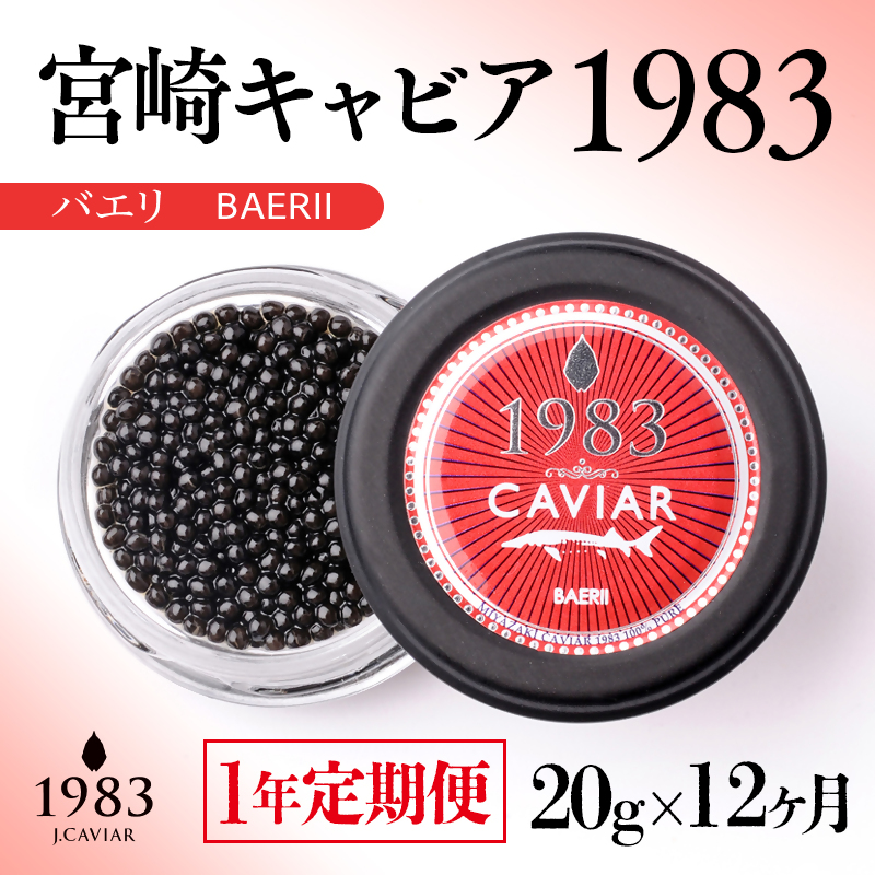 【12ヶ月定期便】宮崎キャビア1983バエリ MIYAZAKI CAVIAR1983 BAERII 20g×12ヶ月＜48-2＞魚卵 キャビア 全12回 宮崎県西都市