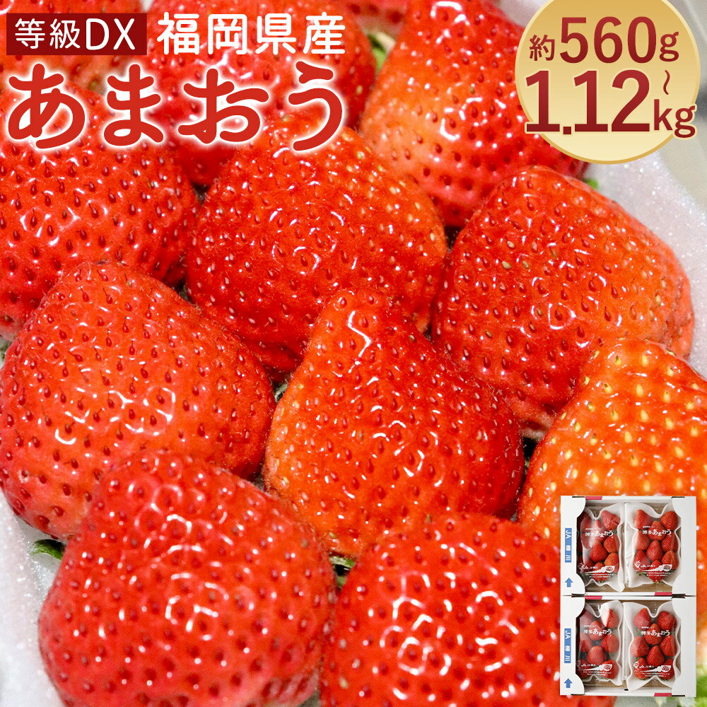 【ふるさと納税】あまおう 等級DX 約560g(2パック)/約1.12kg(4パック) 選べる内容量 1パック約280g 先行受付 事前予約 いちご 苺 フルーツ 果物 福岡県産 冷蔵 送料無料【2026年2月上旬～3月下旬に順次発送予定】