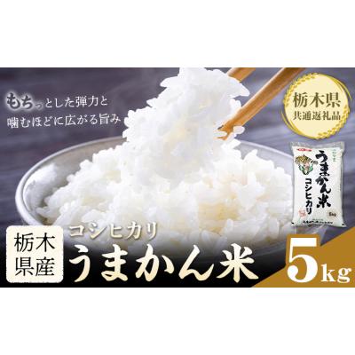 ふるさと納税 野木町 令和7年産 米 お米 コシヒカリ うまかん米 5kg 《30日以内に出荷予定(土日祝除く)》